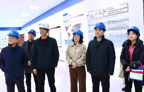 陽(yáng)光電源股份、宜賓智能制造行業(yè)協(xié)會(huì)、宜賓安徽商會(huì)調(diào)研遠(yuǎn)東電纜（宜賓）