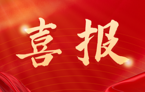 喜報(bào)！遠(yuǎn)東電纜（宜賓）胡清平榮登2025年第一批擬認(rèn)定主導(dǎo)產(chǎn)業(yè)企業(yè)人才名單